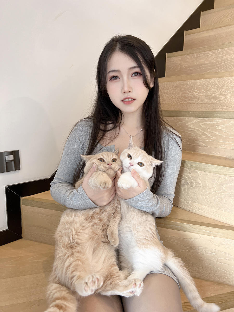 不呆猫_049