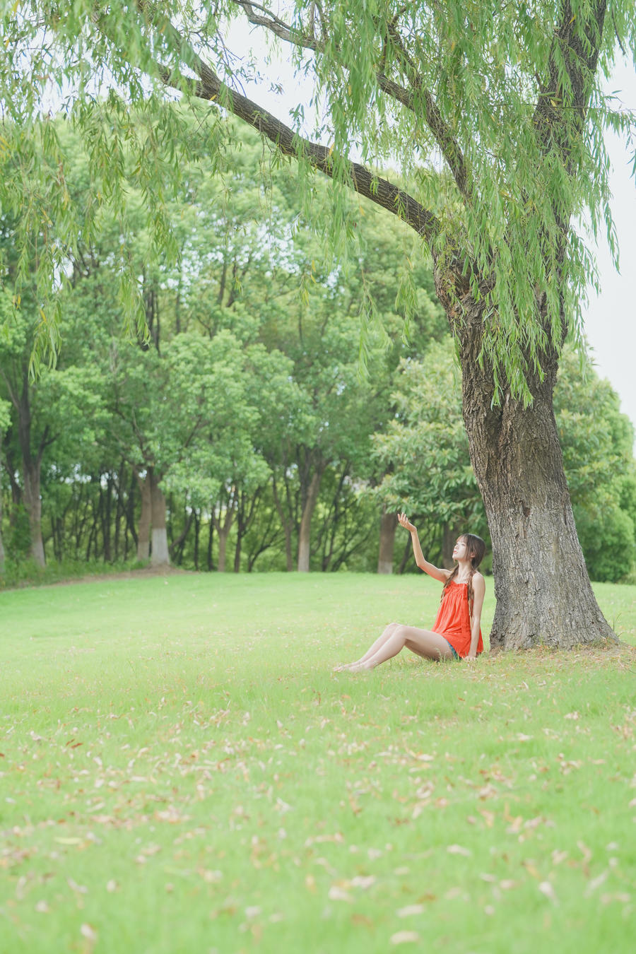 虎斑森 官方授权画册-高清写真图片合集[414photos] - 甜妹阁-甜妹阁